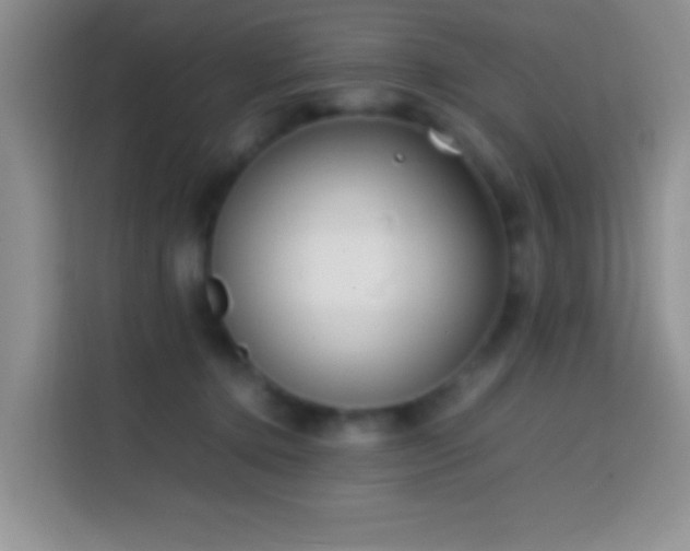 X0000113870368200910011117