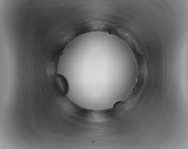 X0000113870372200910011117