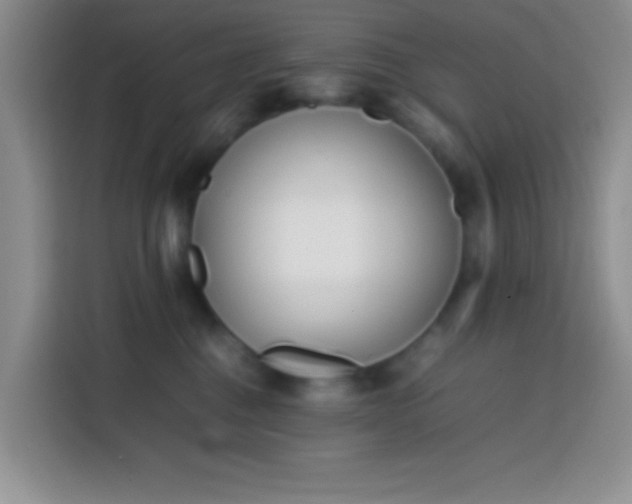 X0000113870376200910011117