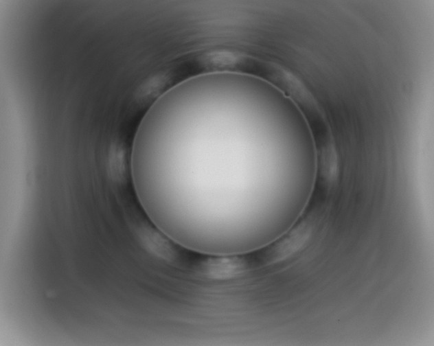 X0000113870378200910011117