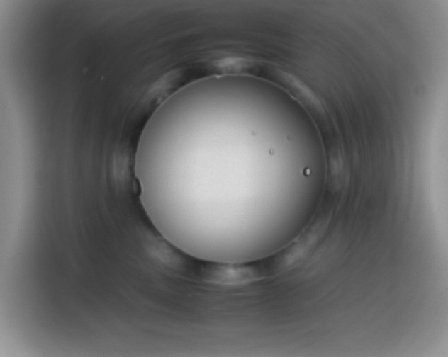 X0000113870379200910011117