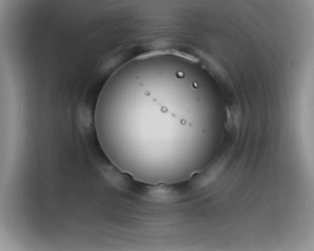 X0000113870380200910011117