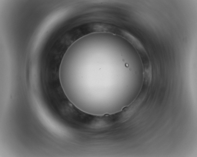 X0000113870381200910011117