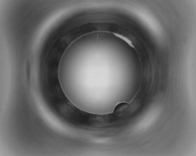 X0000113870383200910011117