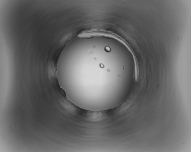 X0000113870384200910011117