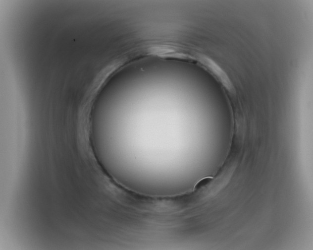 X0000113870385200910011116