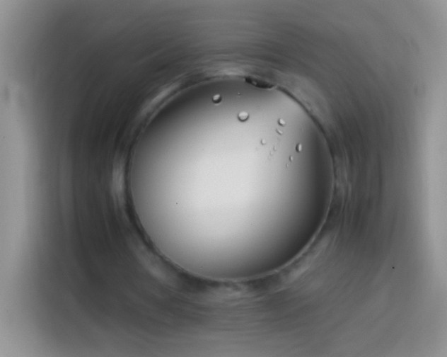 X0000113870386200910011116