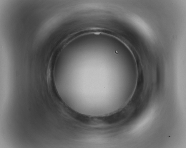 X0000113870387200910011116