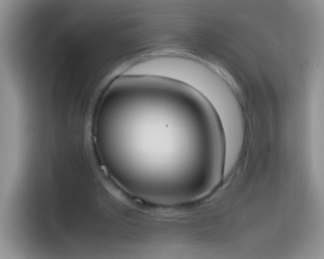 X0000113870389200910011116