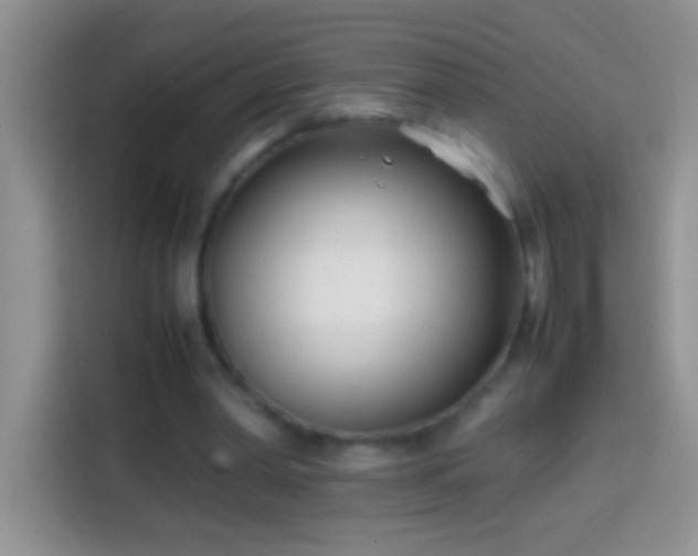 X0000113870390200910011116