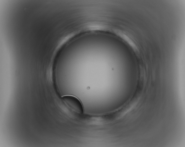 X0000113870391200910011116