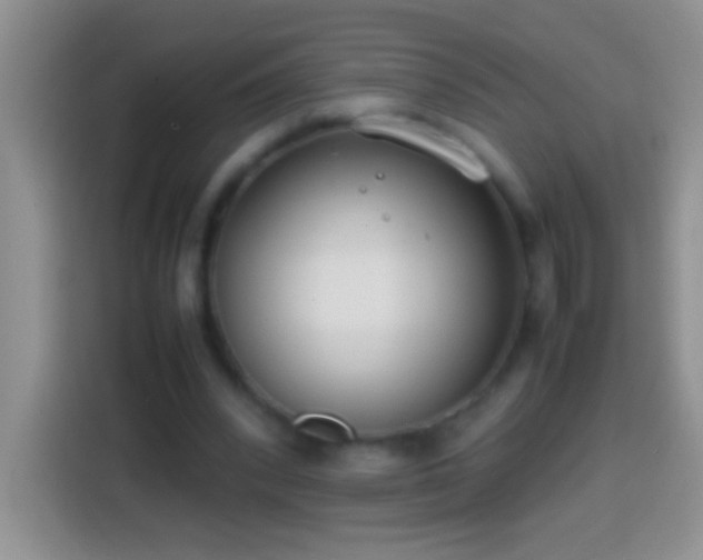 X0000113870392200910011116