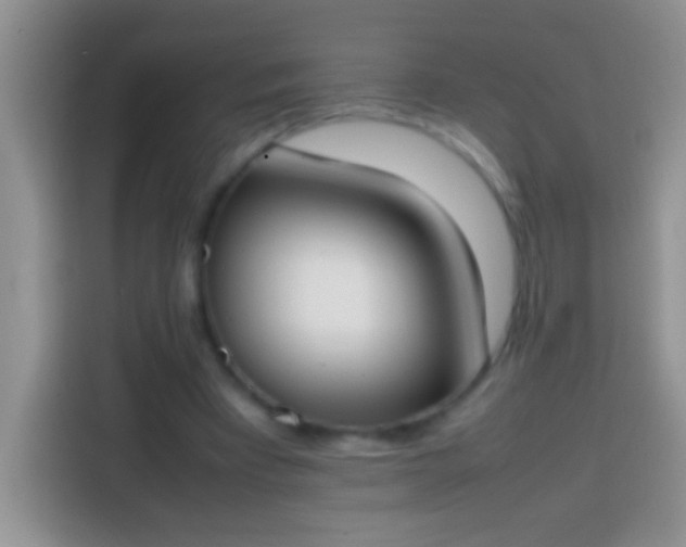 X0000113870393200910011116