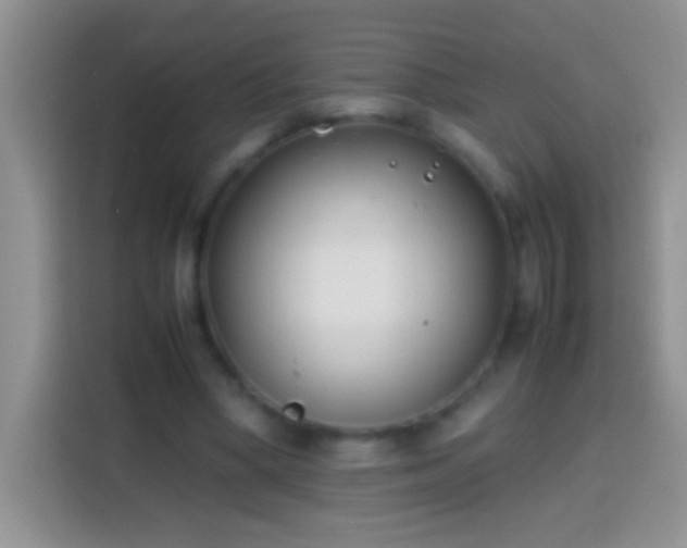 X0000113870394200910011116