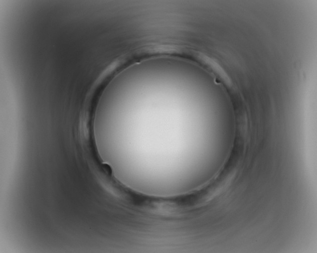 X0000113870395200910011116