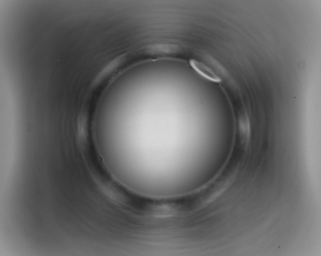 X0000113870396200910011116