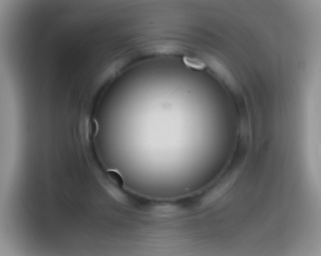 X0000113870397200910011116