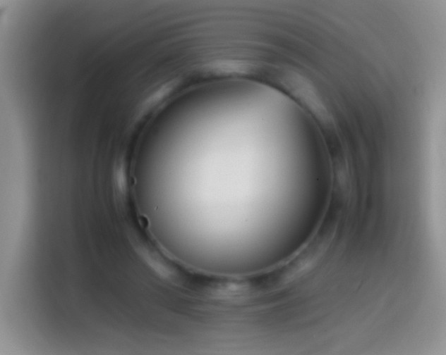 X0000113870398200910011116