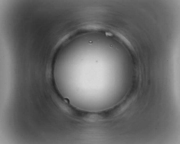 X0000113870399200910011116