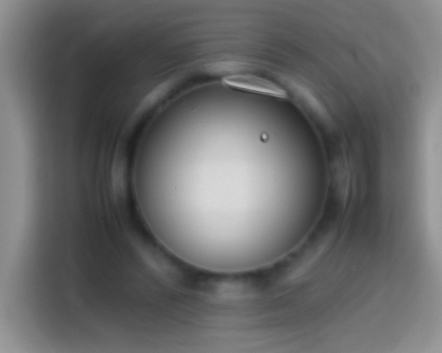 X0000113870400200910011116