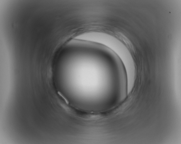 X0000113870401200910011116