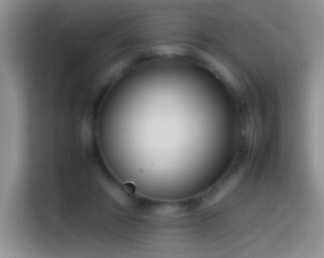 X0000113870402200910011116