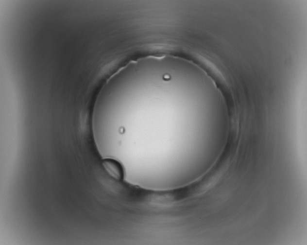 X0000113870403200910011116