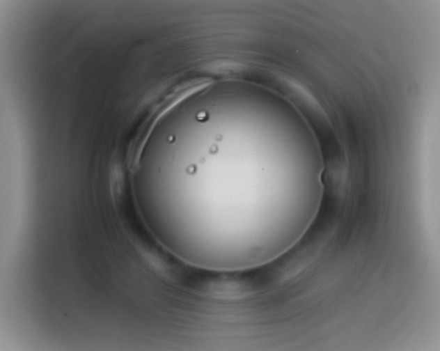 X0000113870404200910011116