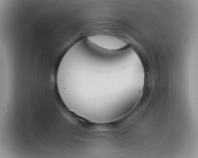 X0000113870405200910011116