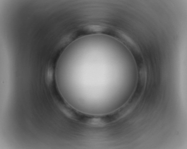 X0000113870406200910011116