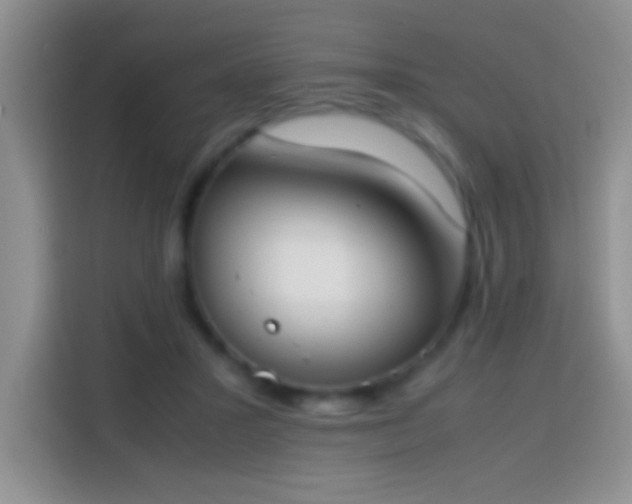 X0000113870407200910011116