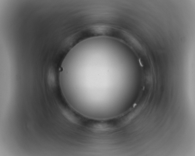 X0000113870408200910011116