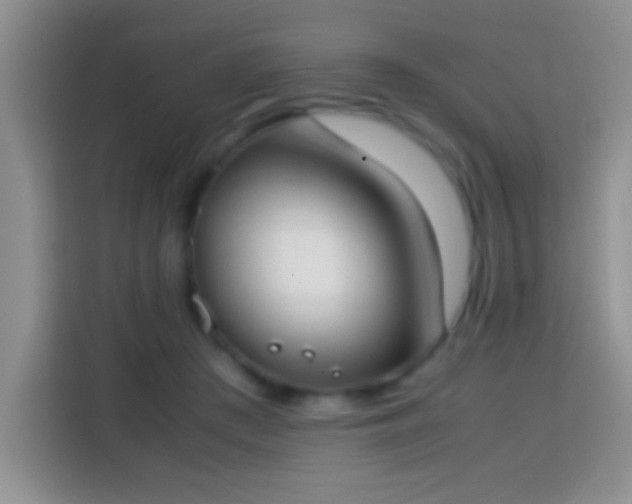 X0000113870409200910011116