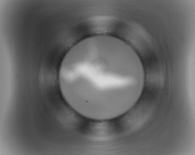 X0000113870411200910011116