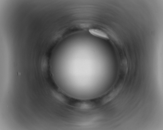 X0000113870412200910011116