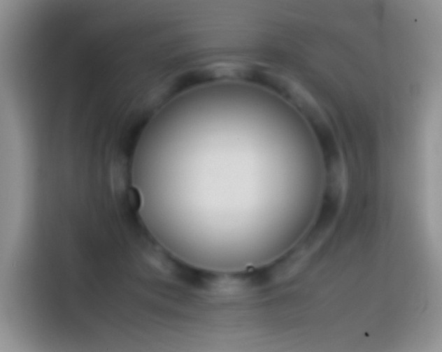 X0000113870413200910011116