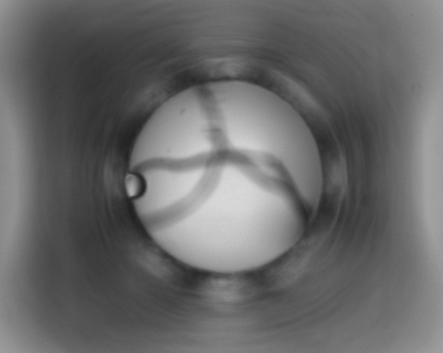 X0000113870414200910011116