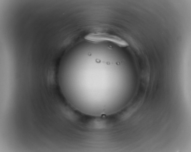 X0000113870416200910011116