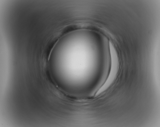 X0000113870417200910011116