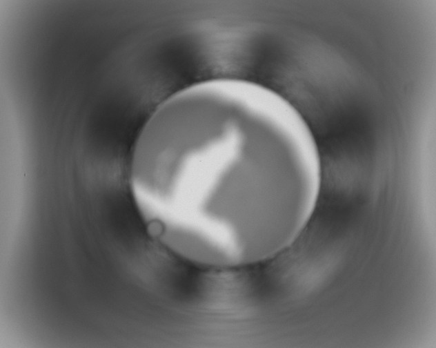 X0000113870419200910011116