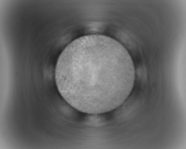 X0000113870423200910011116