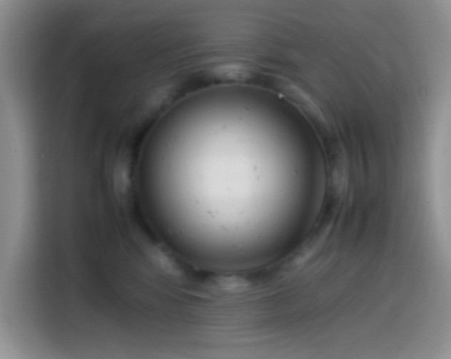 X0000113870424200910011116