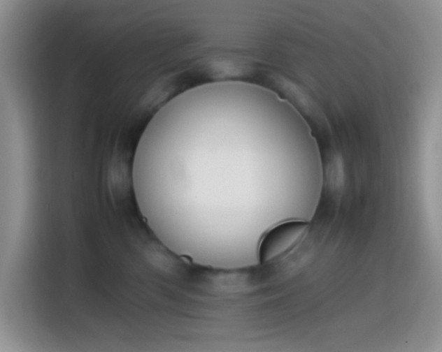 X0000113870426200910011116