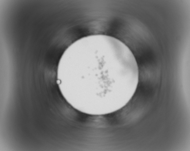 X0000113870427200910011116