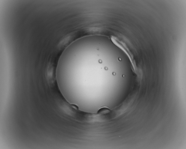 X0000113870428200910011116