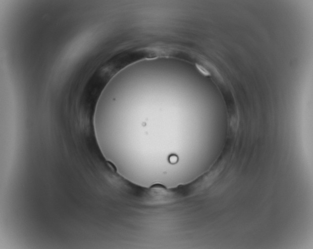 X0000113870429200910011116