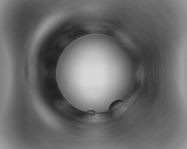 X0000113870430200910011116