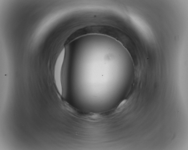 X0000113870431200910011116