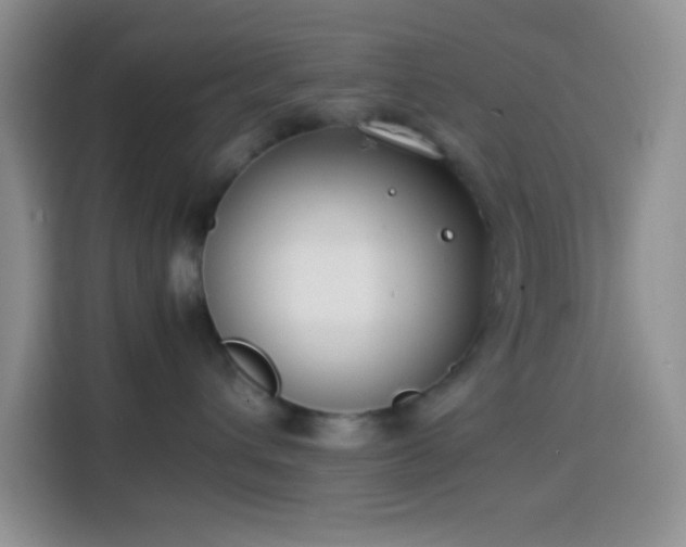 X0000113870432200910011116