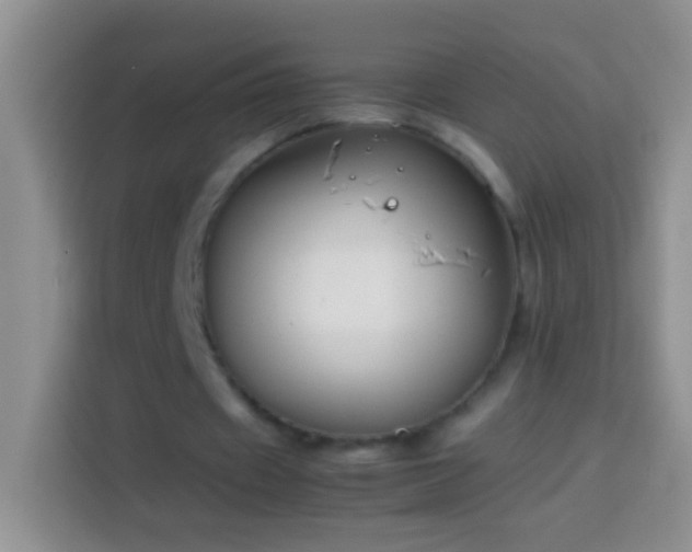 X0000113870433200910011115